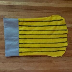 Homemade Pencil Costume